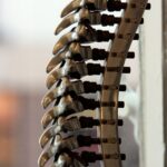 Spinal Innovation