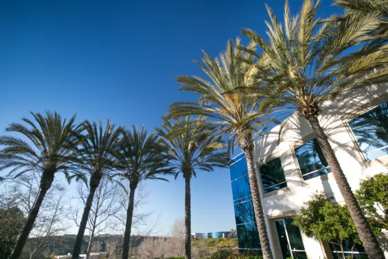 Featured image for: The Future Is Clean: Why Carlsbad Is a Launchpad for Climate Tech Startups