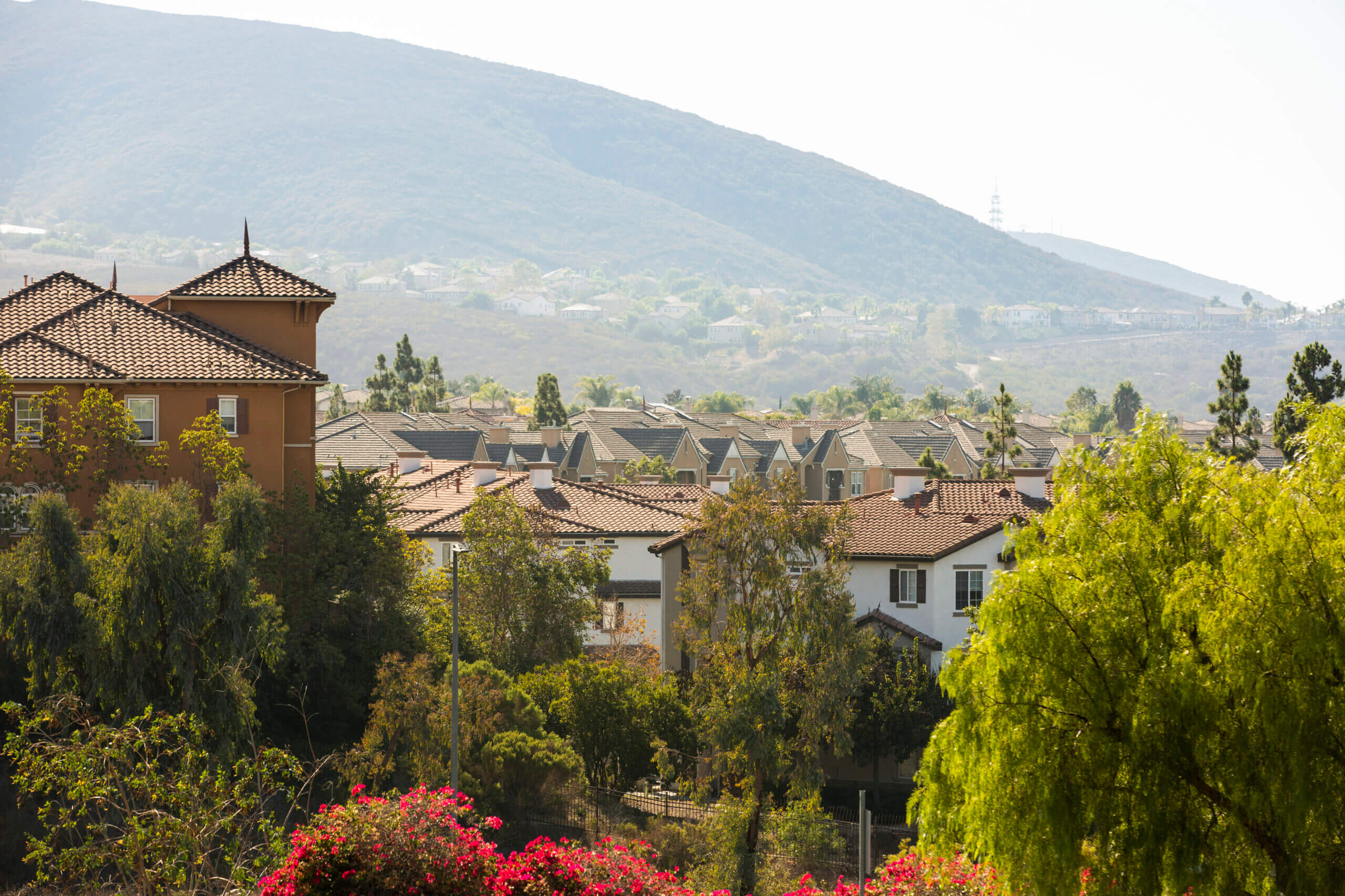 Views of rooftops with lush trees in foreground and a green mountain in thebackground - San Marcos, California
