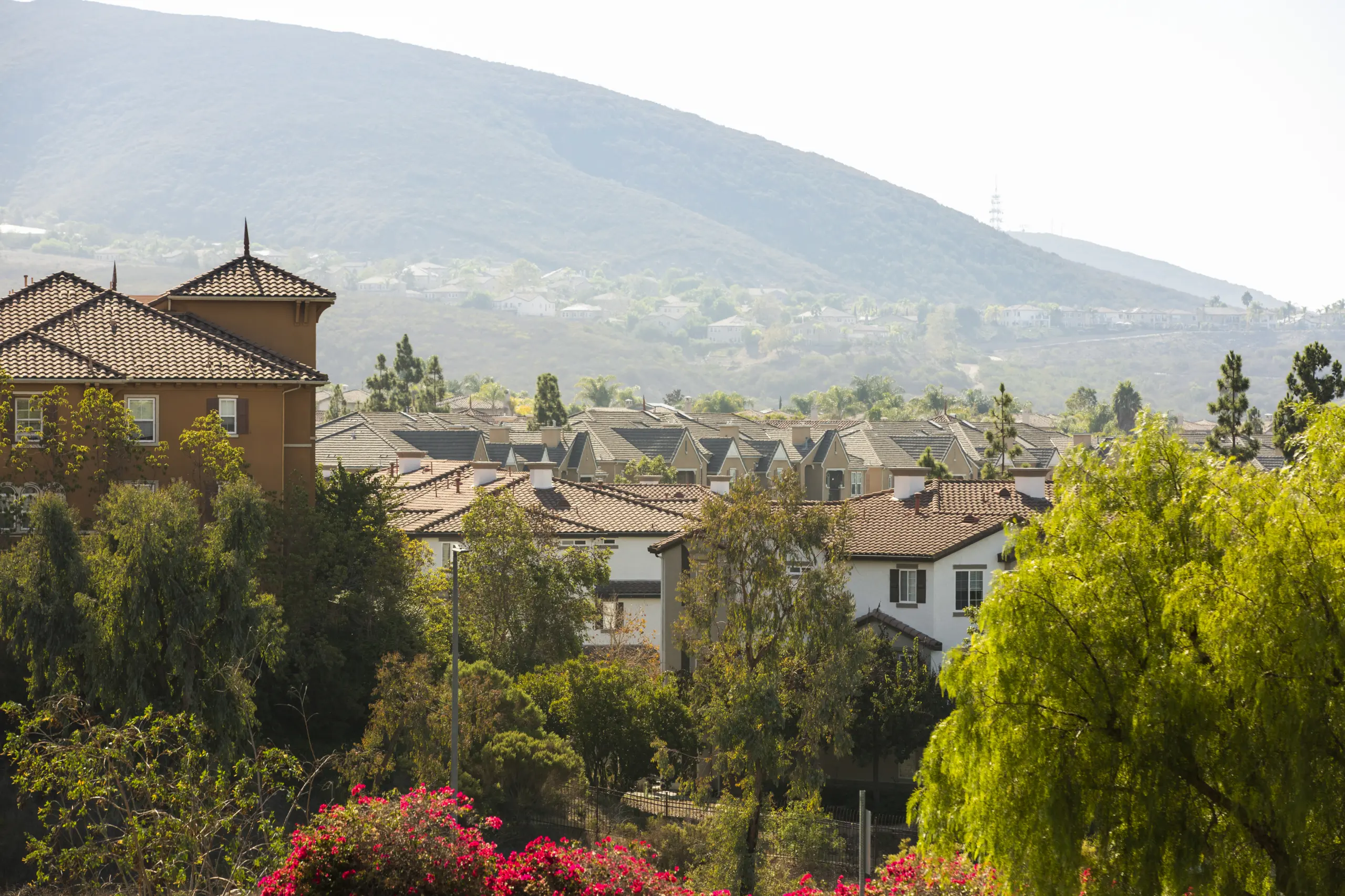 Views of rooftops with lush trees in foreground and a green mountain in thebackground - San Marcos, California