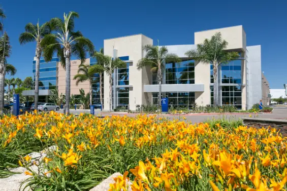 Featured image for: How Carlsbad Helps Businesses Start, Grow and Hire