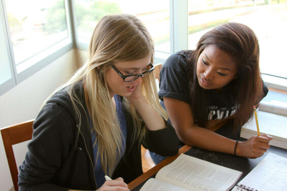 Two students study together